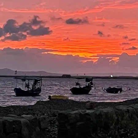 Timo SantʼAnna Arresi